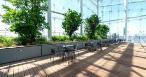 Photo de présentation de l'aménagement d'une terrasse dans les bureaux de Saint-Gobain à Paris La Défense.