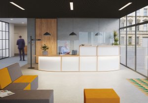 Photo d'inspiration pour l'agencement d'une salle d'accueil d'entreprise à la fois pratique, confortable et design grâce à l'utilisation d'une banque de modèle "Élégance".