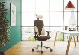 Photo d'inspiration pour l'aménagement d'un bureau individuel équipé d'un siège ergonomique et confortable.