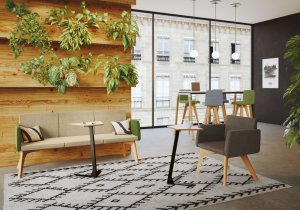 Photo d'inspiration pour l'aménagement d'un espace de détente végétalisé à l'aide d'un mobilier professionnel personnalisé en vert et par la présence de plantes d'intérieur.